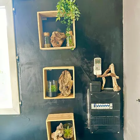 アパート Jungle House *