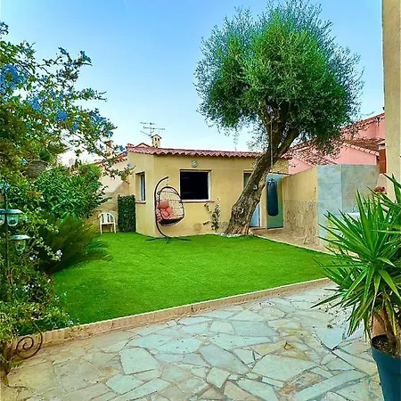 Jungle House *