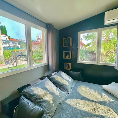 Daire Jungle House