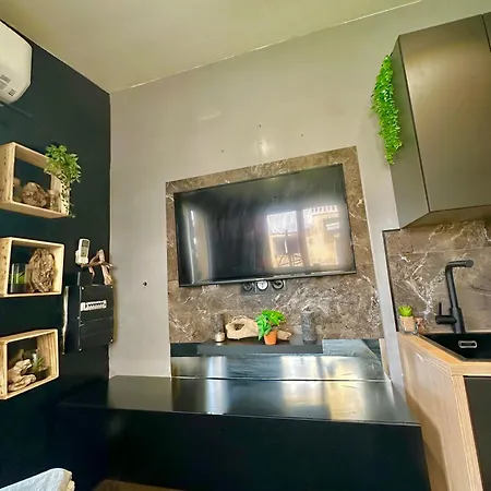 Jungle House * Nice